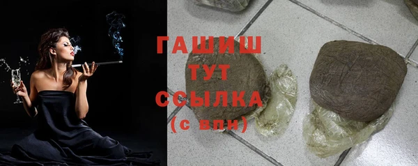 спиды Гусев