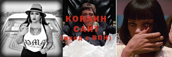 дмт Гусь-Хрустальный