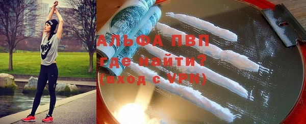 спиды Гусев