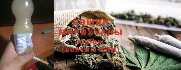 спиды Гусев