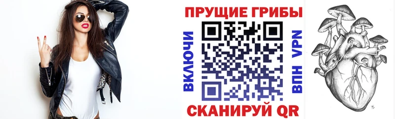 Псилоцибиновые грибы Psilocybe  что такое   Чулым 